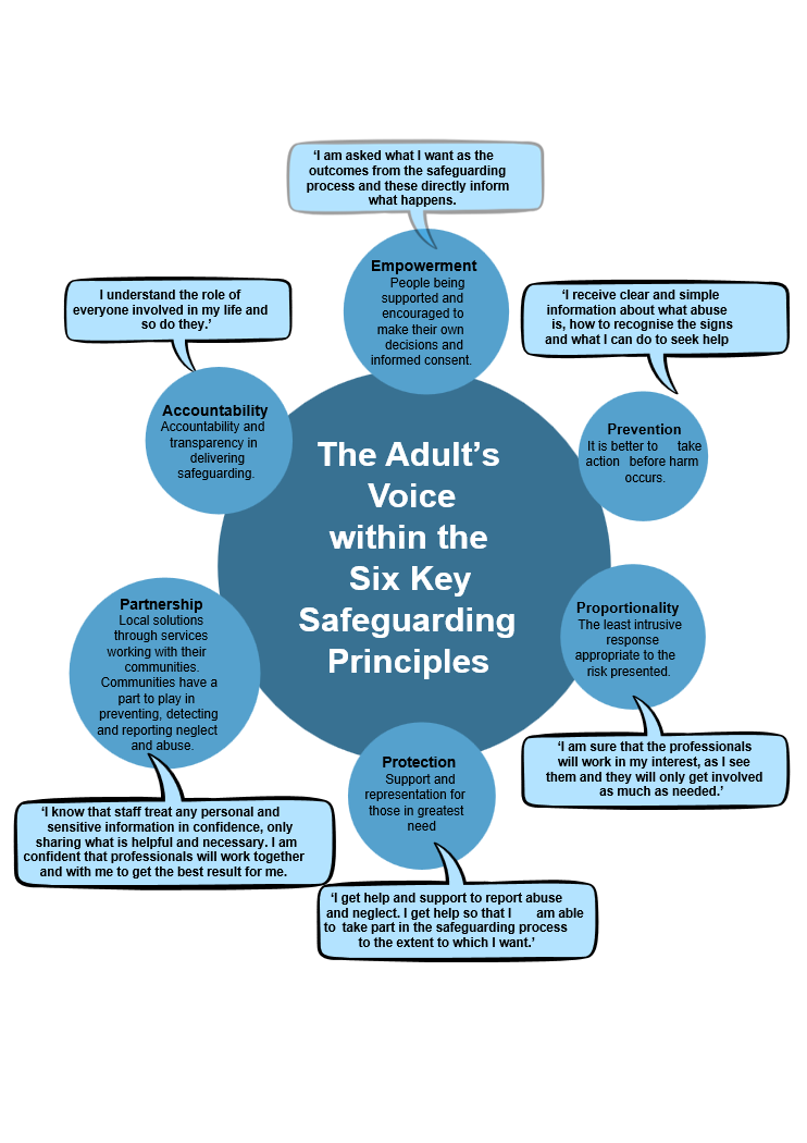 The Adult\'s Voice within the Six key Safeguarding Principles graphic